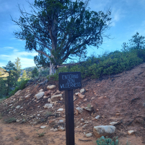 Deertrap Mountain via Steve Spring Trailhead 04