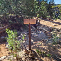 Deertrap Mountain via Steve Spring Trailhead 19