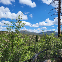 Deertrap Mountain via Steve Spring Trailhead 28