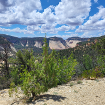 Deertrap Mountain via Steve Spring Trailhead 29