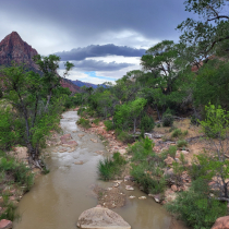 Zion National Park Pa'rus Trail 04