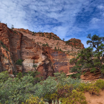 Zion National Park:  Overlook Trail  009