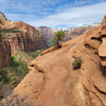 Zion National Park:  Overlook Trail  011