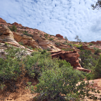 Zion National Park:  Overlook Trail  012