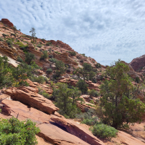 Zion National Park:  Overlook Trail  015