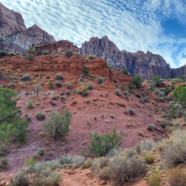 Zion National Park:  The Watchman Trail 005