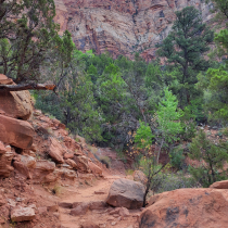 Zion National Park:  The Watchman Trail 007