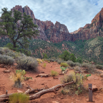 Zion National Park:  The Watchman Trail 0010
