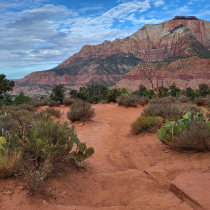 Zion National Park:  The Watchman Trail 011