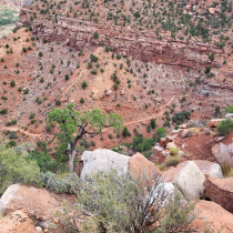 Zion National Park:  The Watchman Trail 012