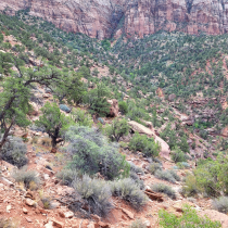 Zion National Park:  The Watchman Trail 021