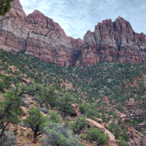 Zion National Park:  The Watchman Trail 022