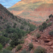 Zion National Park:  The Watchman Trail 008